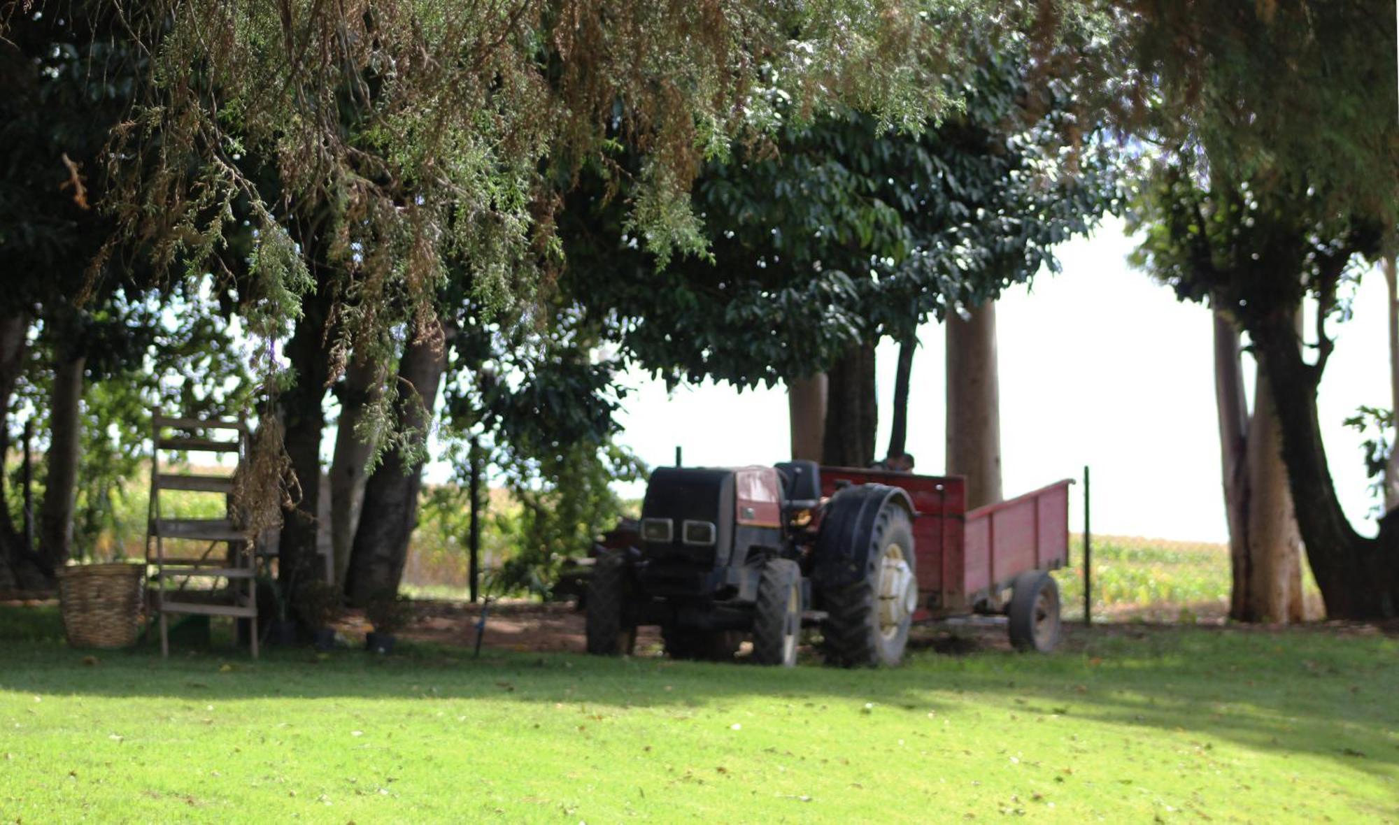Limoeiro Da Concordia Hotel Fazenda De Charme Cabreúva 외부 사진