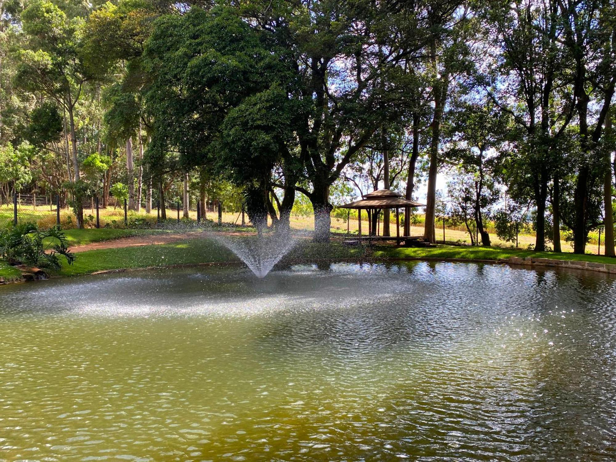 Limoeiro Da Concordia Hotel Fazenda De Charme Cabreúva 외부 사진